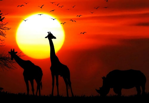 Аудиосказки Animal and Nature Stories