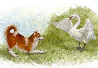 Аудиосказки Мамин-Сибиряк