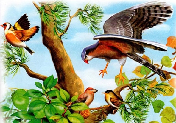 Слушать Аудиосказка Чей нос лучше Аудиосказка Чей нос лучше