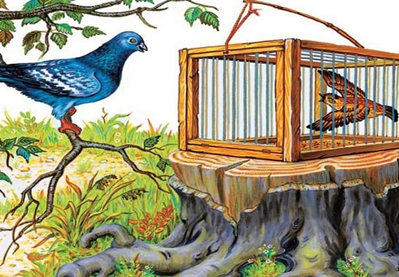 Аудиосказка Чиж и голубь