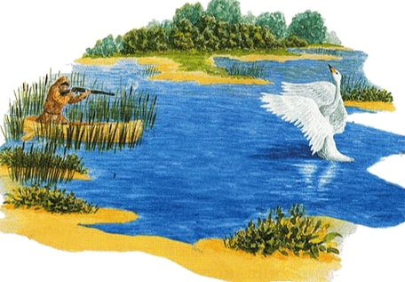 Слушать Аудиосказка Глаза и уши Аудиосказка Глаза и уши