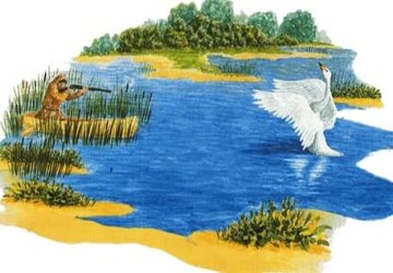 Аудиосказка Глаза и уши
