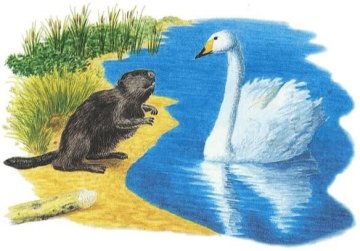 Аудиосказка Глупые вопросы