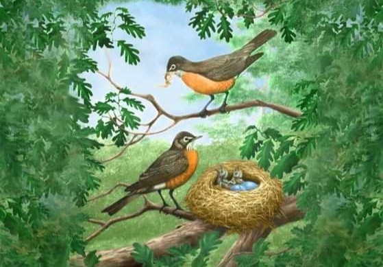 Слушать Аудиосказка Гнезда Аудиосказка Гнезда