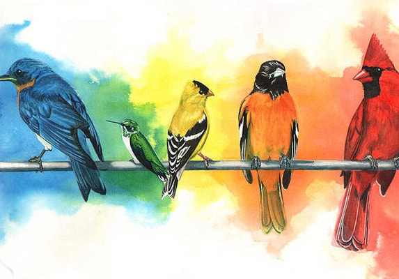 Слушать Аудиосказка Кто чем поет Аудиосказка Кто чем поет