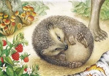 Аудиосказка Лесной колобок – колючий бок