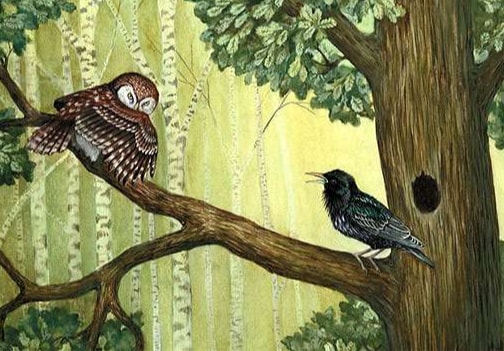 Слушать Аудиосказка Лесные разведчики Аудиосказка Лесные разведчики