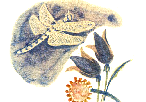 Слушать Аудиосказка Муравей и стрекоза Аудиосказка Муравей и стрекоза