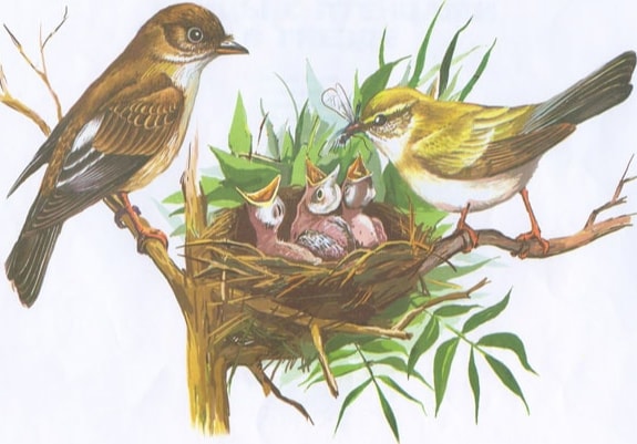 Аудиосказка Подкидыш