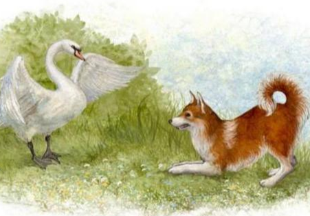 Аудиосказка Приемыш