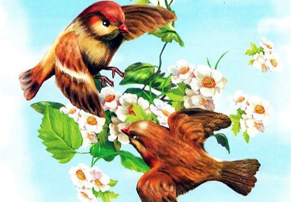 Слушать Аудиосказка Птенцы Аудиосказка Птенцы