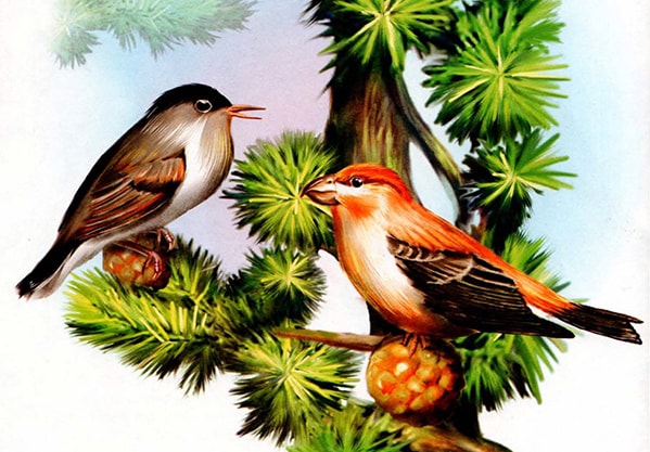 Аудиосказка Птичьи разговоры. Утро