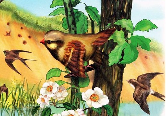 Аудиосказка Птичий год. Весна. Прилет, пролет, отлет