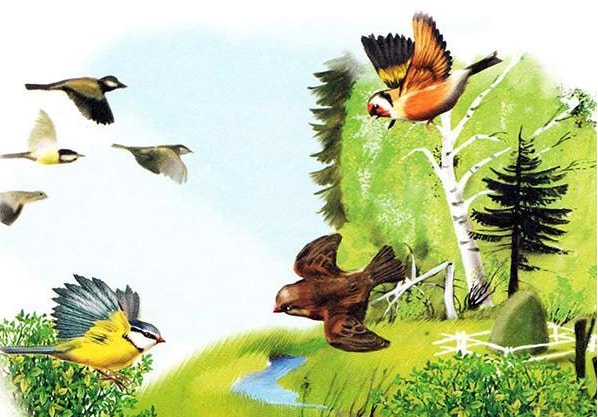 Слушать Аудиосказка Разговор птиц в конце лета Аудиосказка Разговор птиц в конце лета