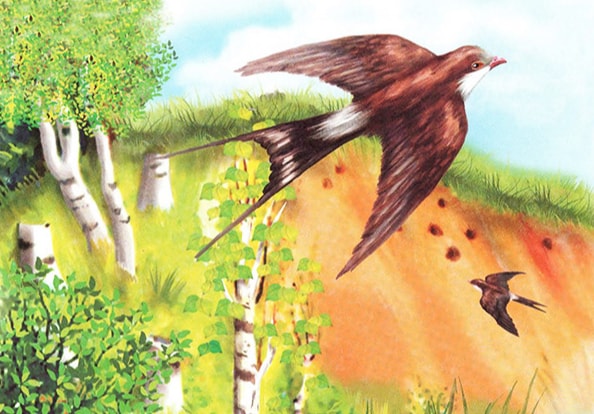 Слушать Аудиосказка Разговор птиц весной Аудиосказка Разговор птиц весной