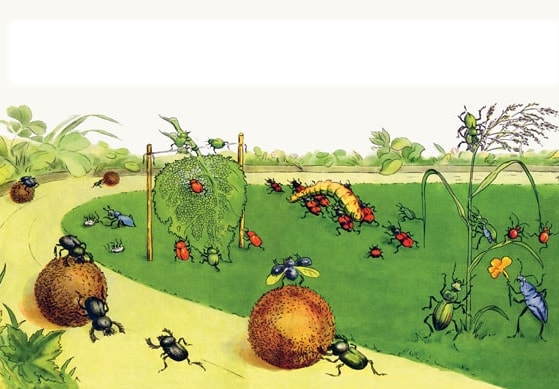 Слушать Аудиосказка Репортаж со стадиона жукамо Аудиосказка Репортаж со стадиона жукамо