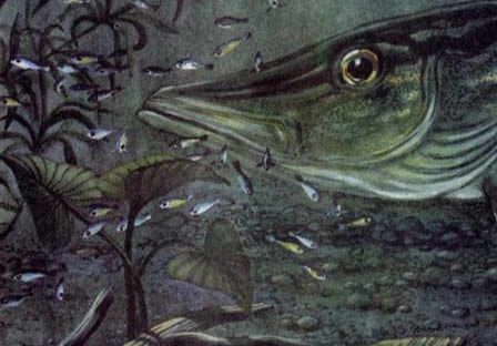 Аудиосказка Рыбий дом