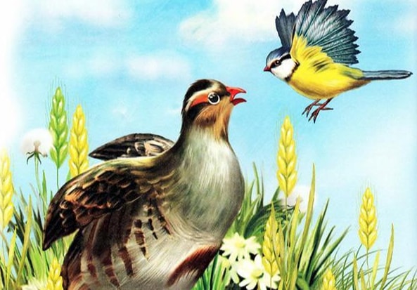 Аудиосказка Синичкин календарь. 08-Август