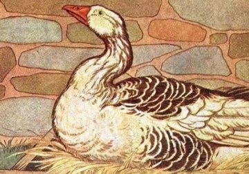 Аудиосказка The Goose That Laid The Golden Eggs