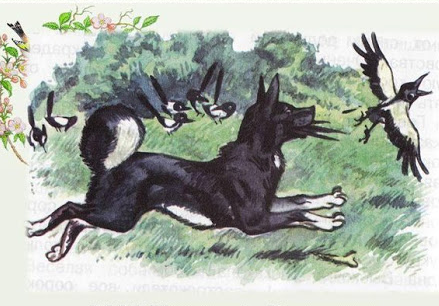 Слушать Аудиосказка Выскочка Аудиосказка Выскочка