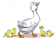 Завистливый гусь