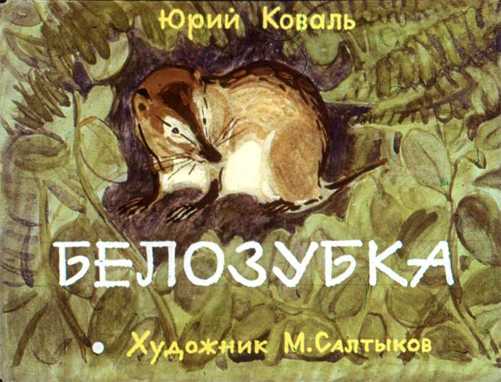 Диафильм Белозубка