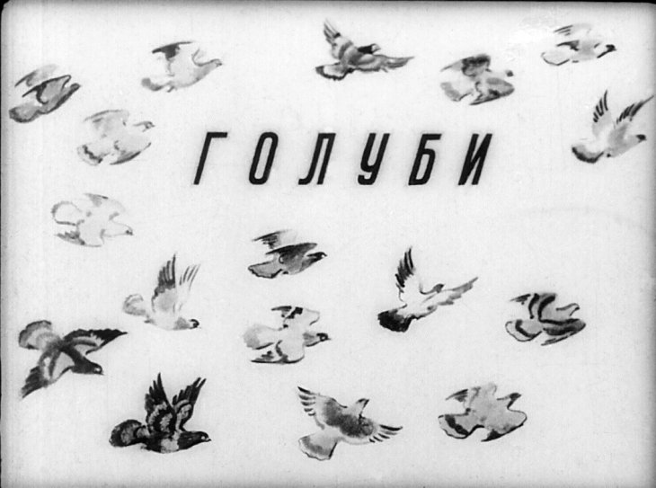 Диафильм Голуби