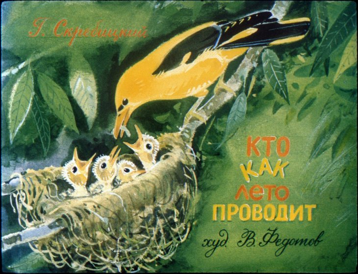 Диафильм Кто как лето проводит