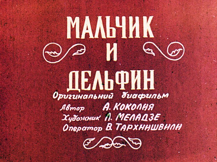 Диафильм Мальчик и дельфин