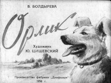 Диафильм Орлик