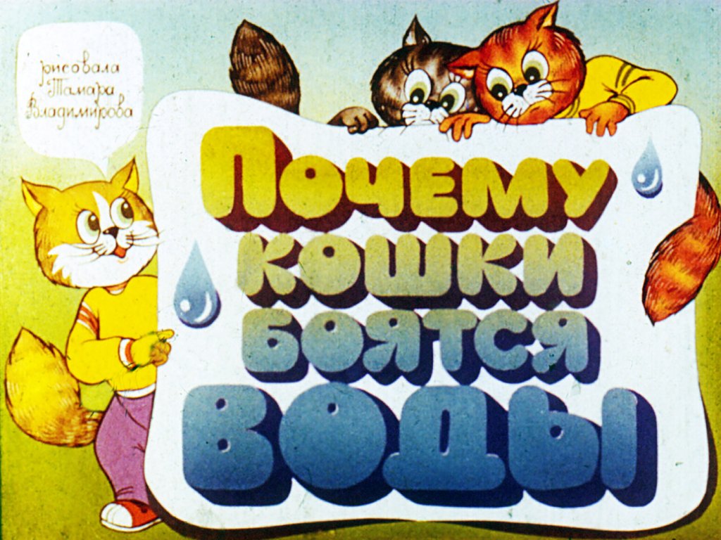 Диафильм Почему кошки боятся воды