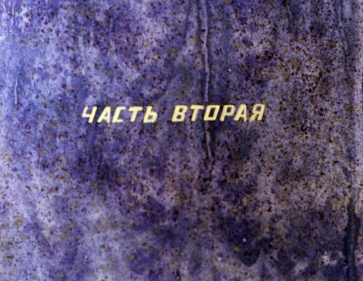 Диафильм Свадьба соек. Часть 2