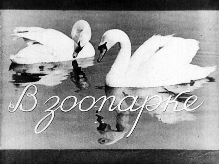 Диафильм В зоопарке