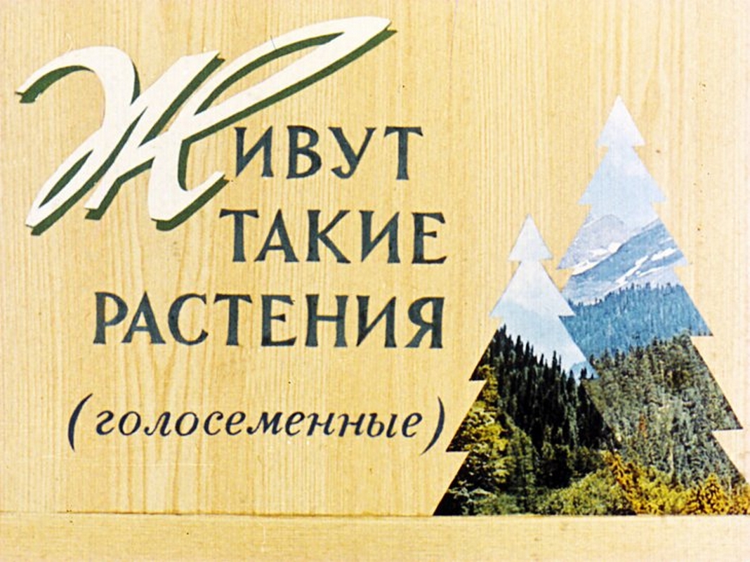 Диафильм Живут такие растения (1973)