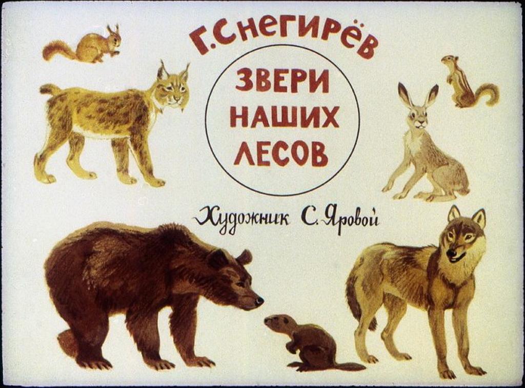 Диафильм Звери наших лесов (1990)