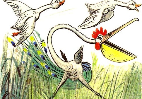 Мультфильм Это что за птица?