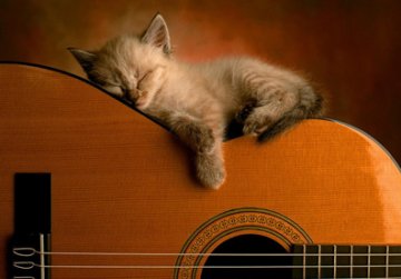 Melodies Sleep with guitar