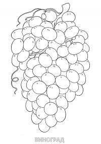 Раскраска 
