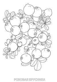 Раскраска 