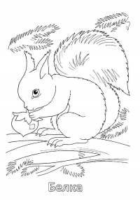 Раскраска 