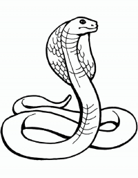 Раскраска 