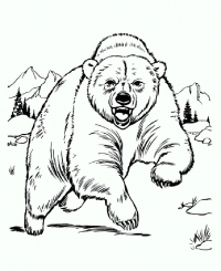 Раскраска 