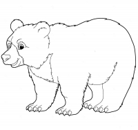 Раскраска 