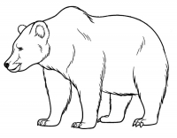 Раскраска 