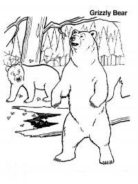 Раскраска 