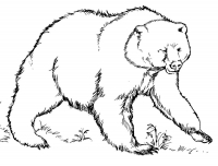 Раскраска 