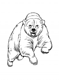 Раскраска 