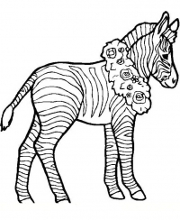 Раскраска 