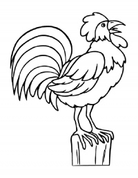Раскраска 