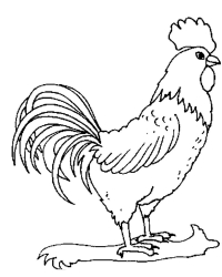 Раскраска 